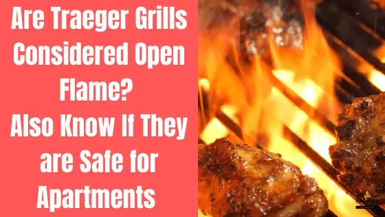 traeger grills are open flame
