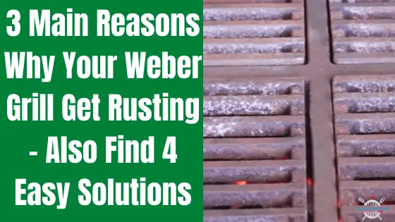 prevent weber grill rusting