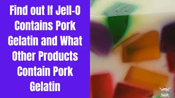 does jello contains pork gelatin