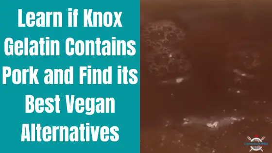knox gelatin contains pork